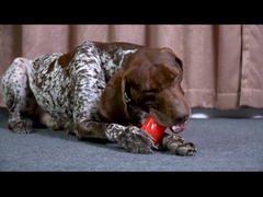 Squeaky Duurzaam Rib Bone Doy