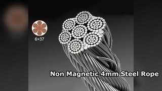 Niet-magnetisch 4 mm 316 roestvrij staaldraad