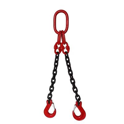 kopen Blacken Finished G80 2 Tweebenige kraan Lifting Chain voor Cargo Handling Solutions online manufacture