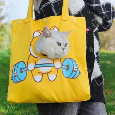 Goede prijs. Leuke duurzame tas voor kleine honden en katten online