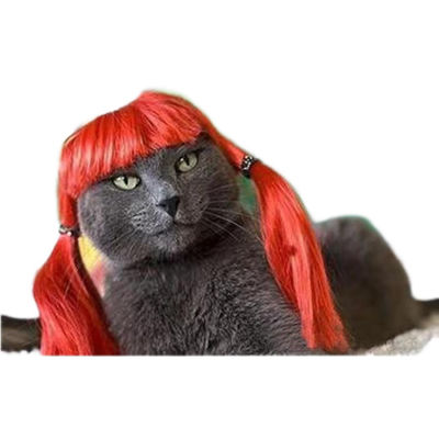 Goede prijs. Elegante zwarte krullende huisdier pruik voor katten en honden - Luxe zachte verstelbare perfect voor formele evenementen en fotosessies online