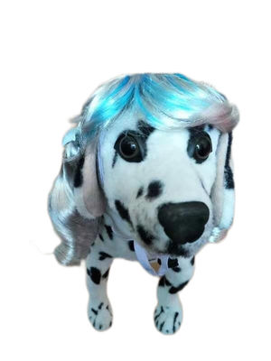 Goede prijs. Wild zebra streep huisdier pruik voor honden en katten, uniek opvallend voor safari-thema feesten online