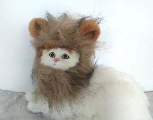 Goede prijs. Verstelbare en ademende katten pruik zacht pluizig en perfect voor alle rassen ideaal voor Halloween / cosplay online