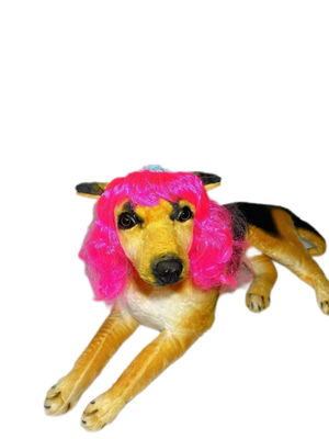 Goede prijs. Regenboogkleuren Sterke Nylon Pet Toupies Een maat past bij alle snel droge materiaal Ideaal voor alle seizoenen en avontuur online